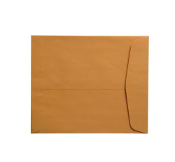 28lb Brown Kraft Negative Preserver, Open End, Plain - Not Printed, with Flap, 10-1/2" ...