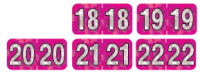 Year Labels - PMA HOLOGRAPHIC HFYM Series Laminated 500/roll 2018 2019 2020 2021 2022