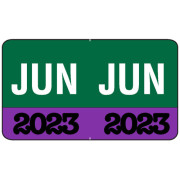 Month/Year Labels 2023 - June - 225 Labels Per Pack - 1-1/2