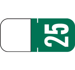 Color Coded Strip Labels. 2025 Year Label - TAB - For Top Tab Application - 1/2 Color Coded Strip Labels. 2025 Year Label - TAB - For Top Tab Application - 1/2