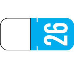 2026 Year Label - TAB - For Top Tab Application - 1/2 2026 Year Label - TAB - For Top Tab Application - 1/2