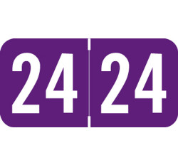 ACME 2024 Year Label - PURPLE - 3/4 ACME 2024 Year Label - PURPLE - 3/4