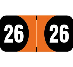 2026 Yearband Label (Rolls of 500) - ADYM Series 2026 Yearband Label (Rolls of 500) - ADYM Series
