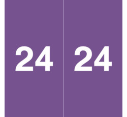 Ames Colorfile 2024 Yearband Label - Purple - Laminated - 1-7/8 Ames Colorfile 2024 Yearband Label - Purple - Laminated - 1-7/8