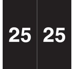 Ames Colorfile 2025 Yearband Label (Rolls of 500) - Black - AEYM Series - Laminated Ames Colorfile 2025 Yearband Label (Rolls of 500) - Black - AEYM Series - Laminated