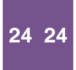 Ames Colorfile Yearband Label (Rolls of 1000) - 2024 - Purple - AMYP Series - Unlaminated Ames Colorfile Yearband Label (Rolls of 1000) - 2024 - Purple - AMYP Series - Unlaminated