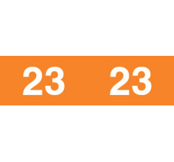 Ames Colorfile Yearband Label (Rolls of 1000) - 2023 - Orange - ASYP Series - Unlaminated Ames Colorfile Yearband Label (Rolls of 1000) - 2023 - Orange - ASYP Series - Unlaminated