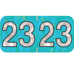 Holographic Yearband Label (Rolls) 500 - 2023 - Aqua - HAYM Series - Polylaminated Holographic Yearband Label (Rolls) 500 - 2023 - Aqua - HAYM Series - Polylaminated