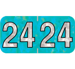 Holographic Yearband Label (Rolls) 500 - 2024 - Aqua - HAYM Series - Polylaminated Holographic Yearband Label (Rolls) 500 - 2024 - Aqua - HAYM Series - Polylaminated