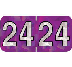 Holographic Yearband Label (Rolls) 500 - 2024 - Purple - HPYM Series - Polylaminated Holographic Yearband Label (Rolls) 500 - 2024 - Purple - HPYM Series - Polylaminated