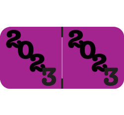 2023 Jeter Purple Year Label for Ringbook - Labels on Sheets - 3/4 2023 Jeter Purple Year Label for Ringbook - Labels on Sheets - 3/4