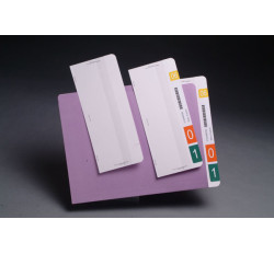 Convert-A-Tabs, 4" W x 9-1/2" H (Box of 100) Convert-A-Tabs, 4" W x 9-1/2" H (Box of 100)