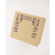11 pt Manila Folders, Full Cut 2-Ply End Tab, Letter Size, Fastener Pos #1 & #3, Printed with Bears (Box of 50)