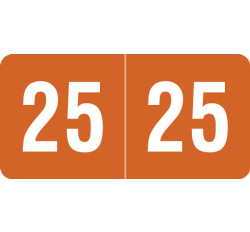 2025 Year Label - Smead - 1/2 2025 Year Label - Smead - 1/2