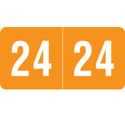 Smead ETS Series 2024 Yearband Label - (250 Pack) - Orange - 1/2 Smead ETS Series 2024 Yearband Label - (250 Pack) - Orange - 1/2