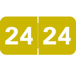 Tabbies Yearband 2024 Label - Gold - TAYM Series -Laminated - 3/4 Tabbies Yearband 2024 Label - Gold - TAYM Series -Laminated - 3/4