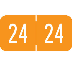 VRE / GBS 2024 Yearband Label (Rolls) - Orange - 3/4 VRE / GBS 2024 Yearband Label (Rolls) - Orange - 3/4