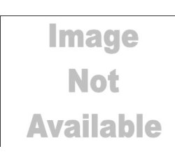 Folder Spine Protectors, 11" x 2" (Box of 500) Folder Spine Protectors, 11" x 2" (Box of 500)